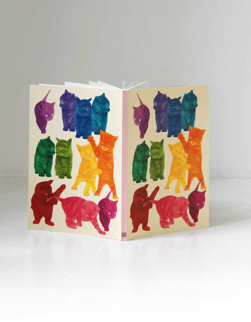 Rainbow Kitten bogomslag