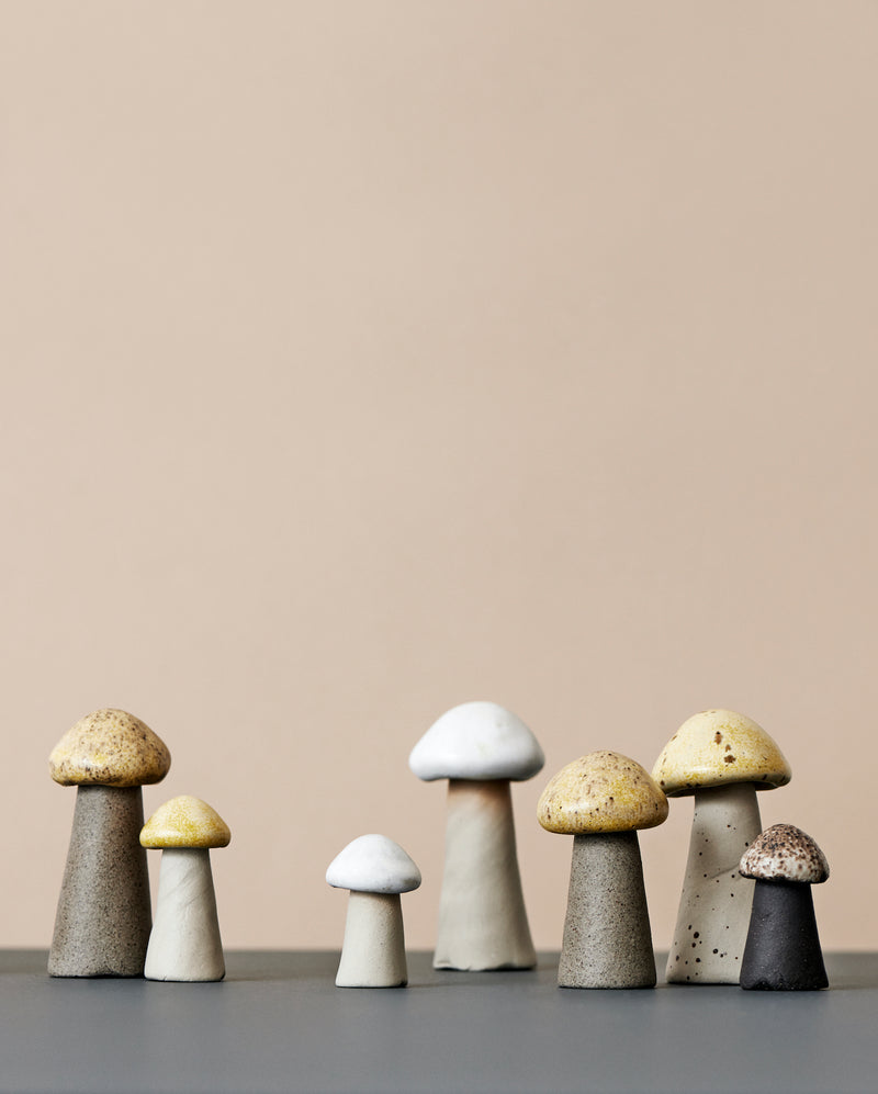 Små svampe