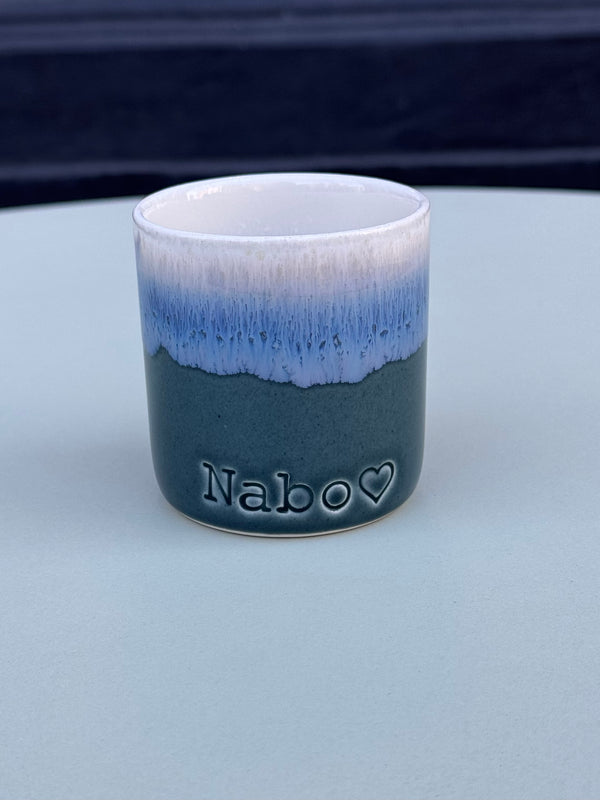 Nabo -kop