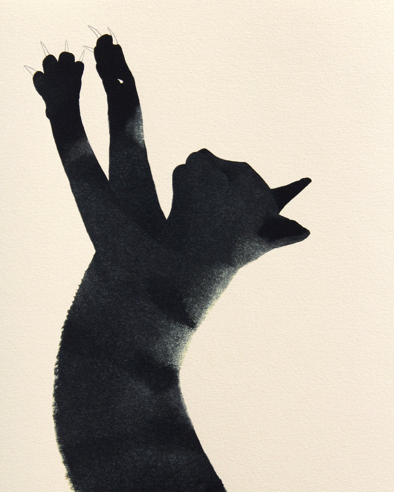 Black Cat kunstprint