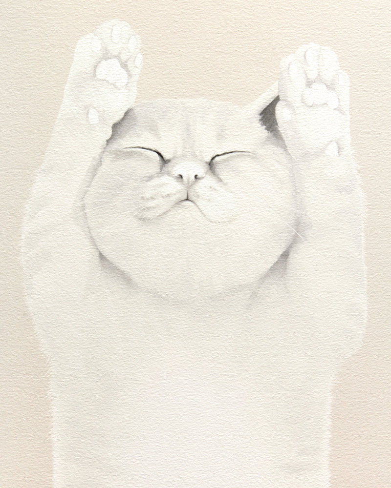 Helena Frank White Cat