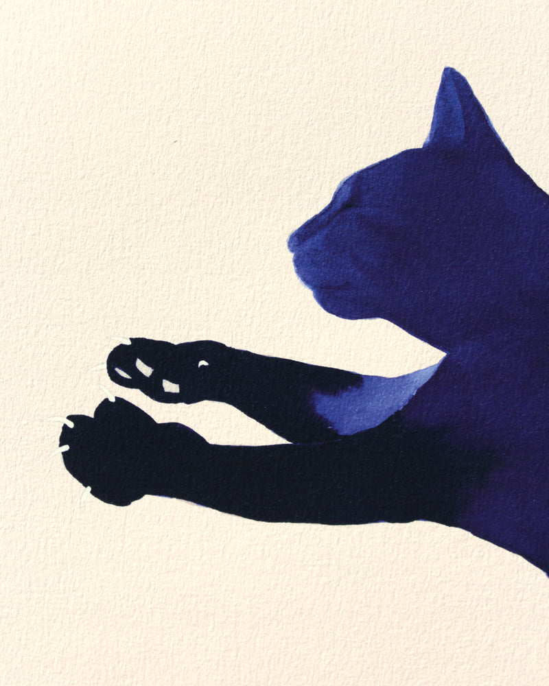 Blue Cat illustration