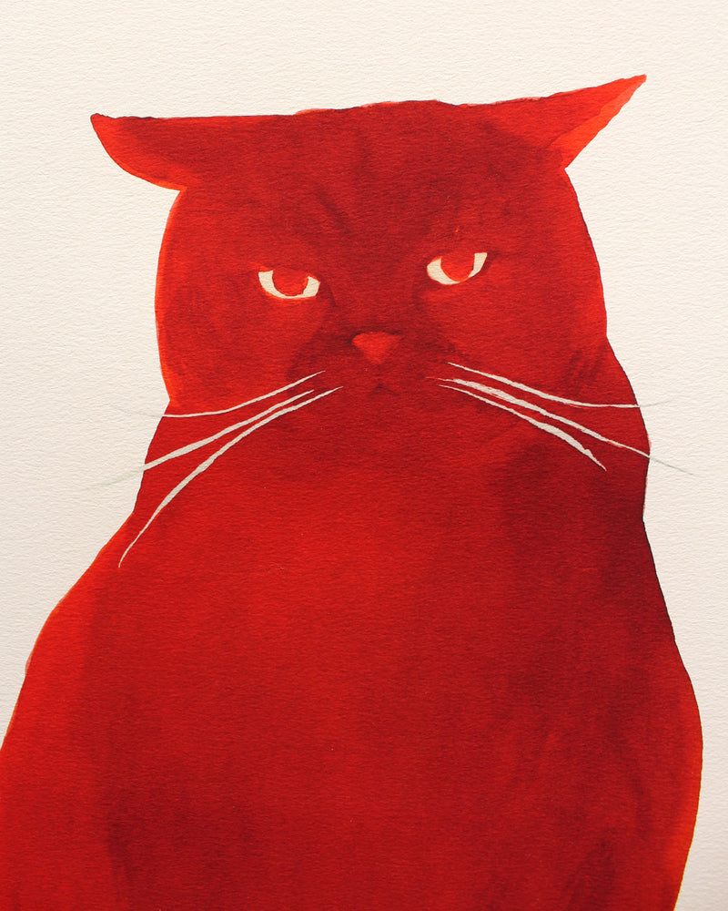 FAT CAT illustration