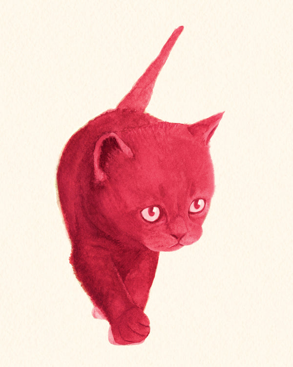 Pink Kitten illustration