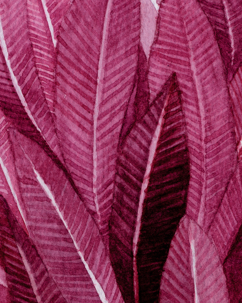 Purple Leaves illustration
